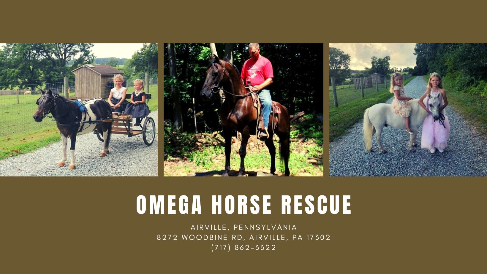 Omega Horse Rescue